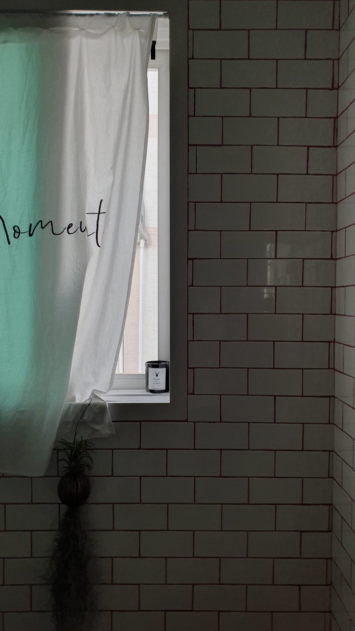 Window
