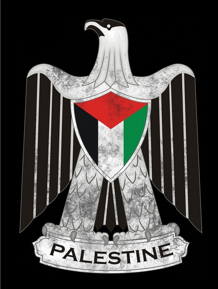 Free Palestine??????