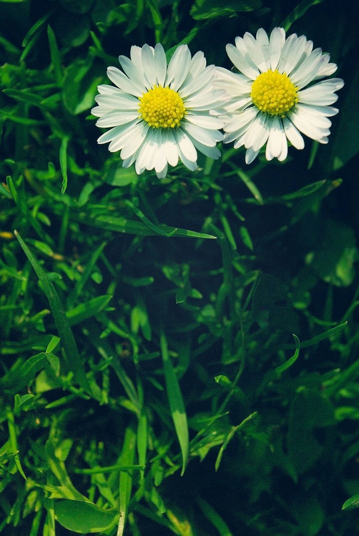 I love green