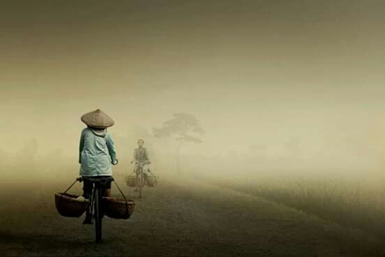 the beauty of Indonesia's nature