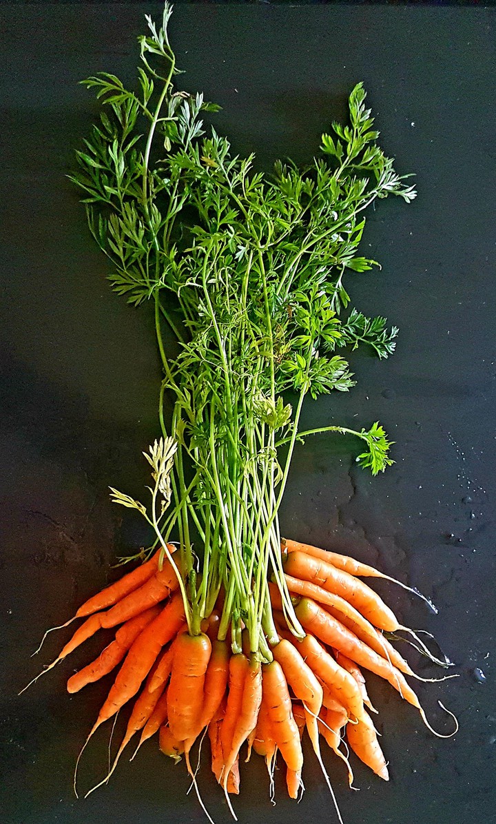 Fresh Baby Carrots