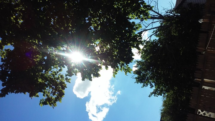 Here Comes the Sun