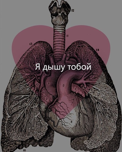 любовь