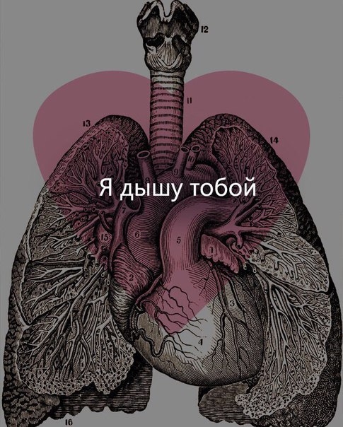любовь