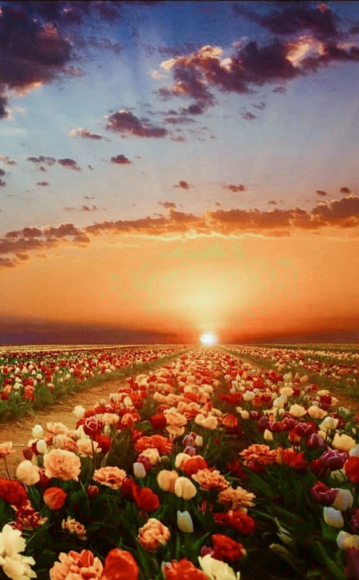 Por do Sol