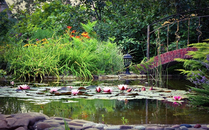 water pool