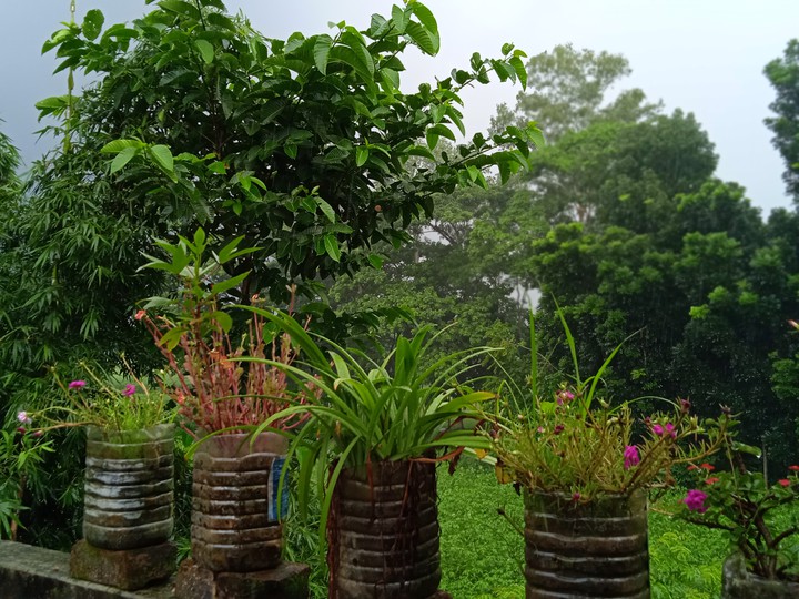 rainy season