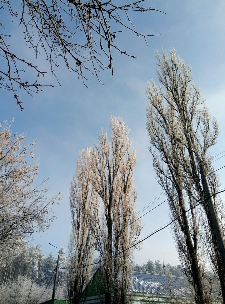 winter