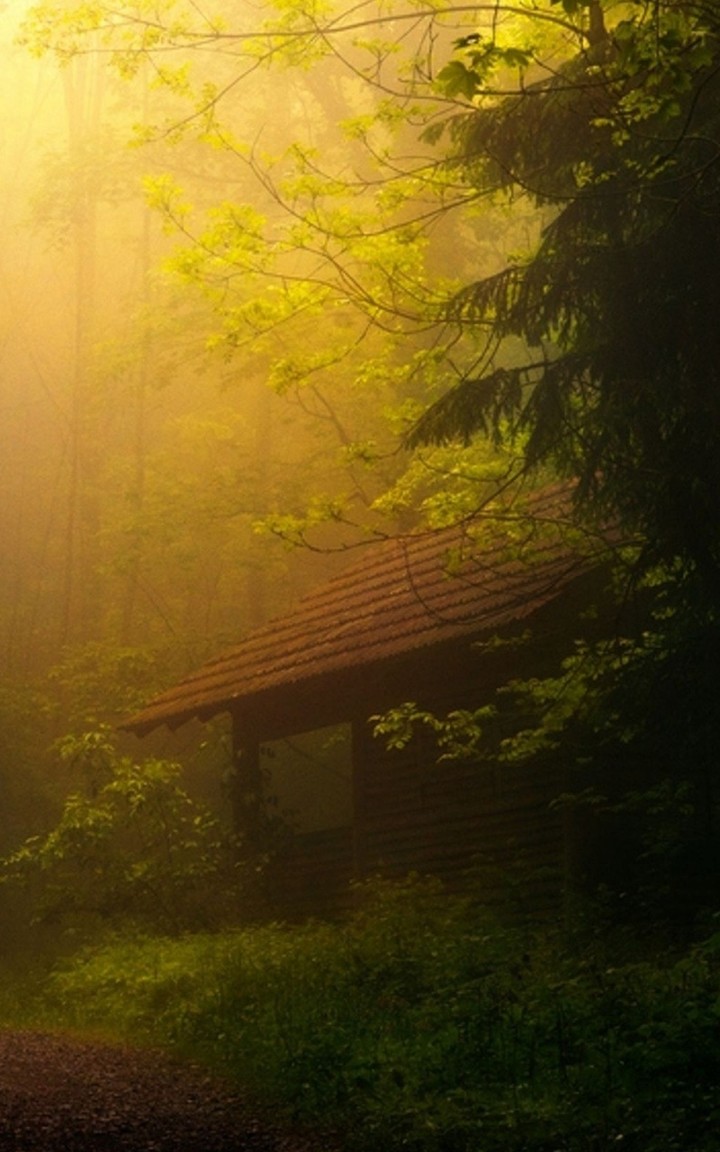 mist