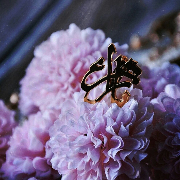 الزهراء  (ع)