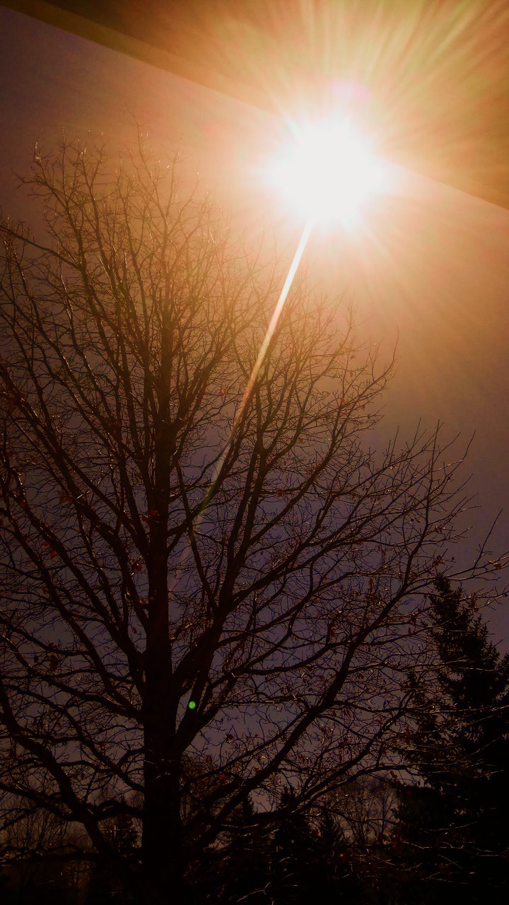 sun