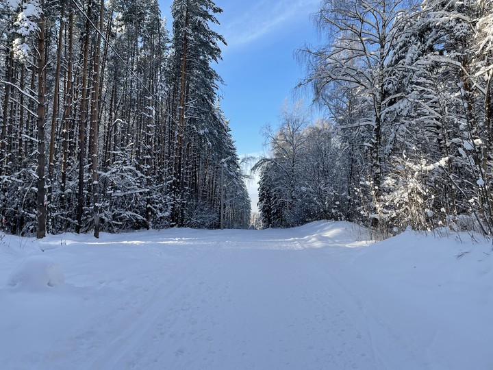 winter