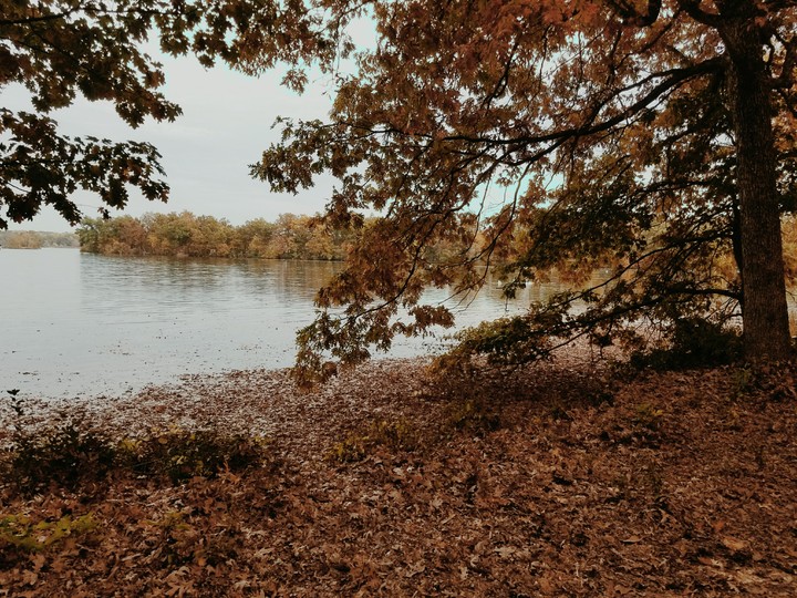 Autumn veiw