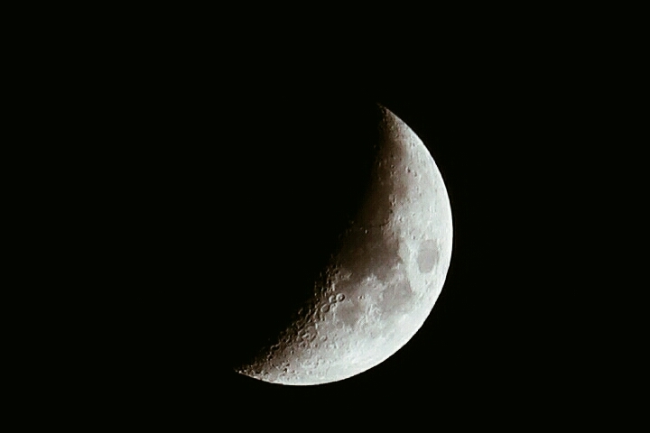 Half Moon Night