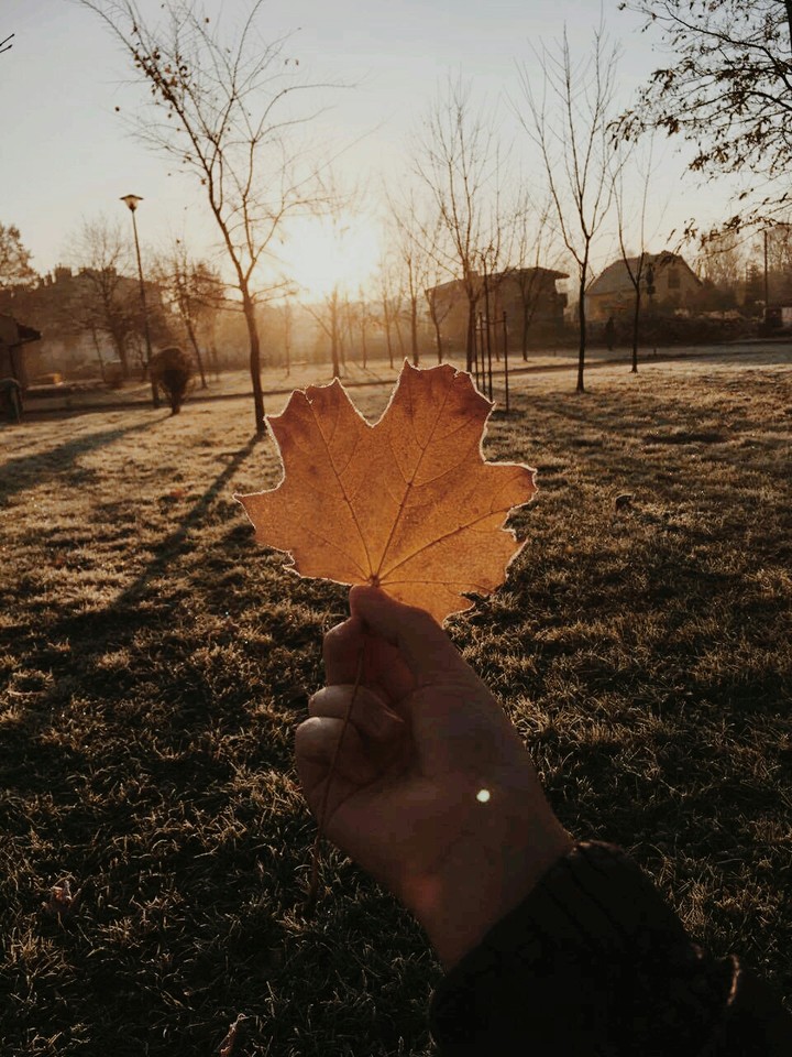 Sunny