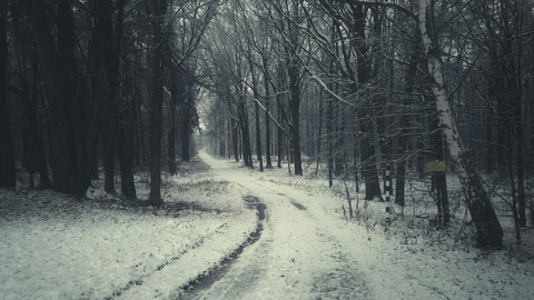 first snow