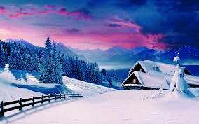 #winter