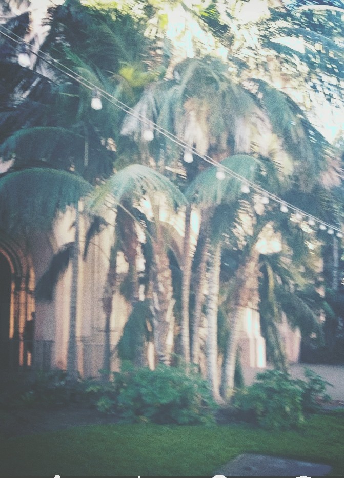 trees