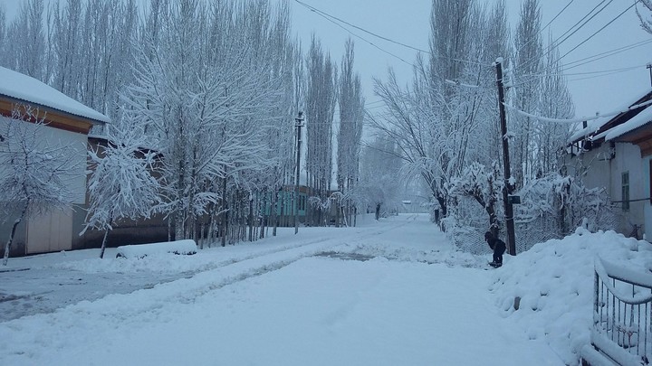 Winter
