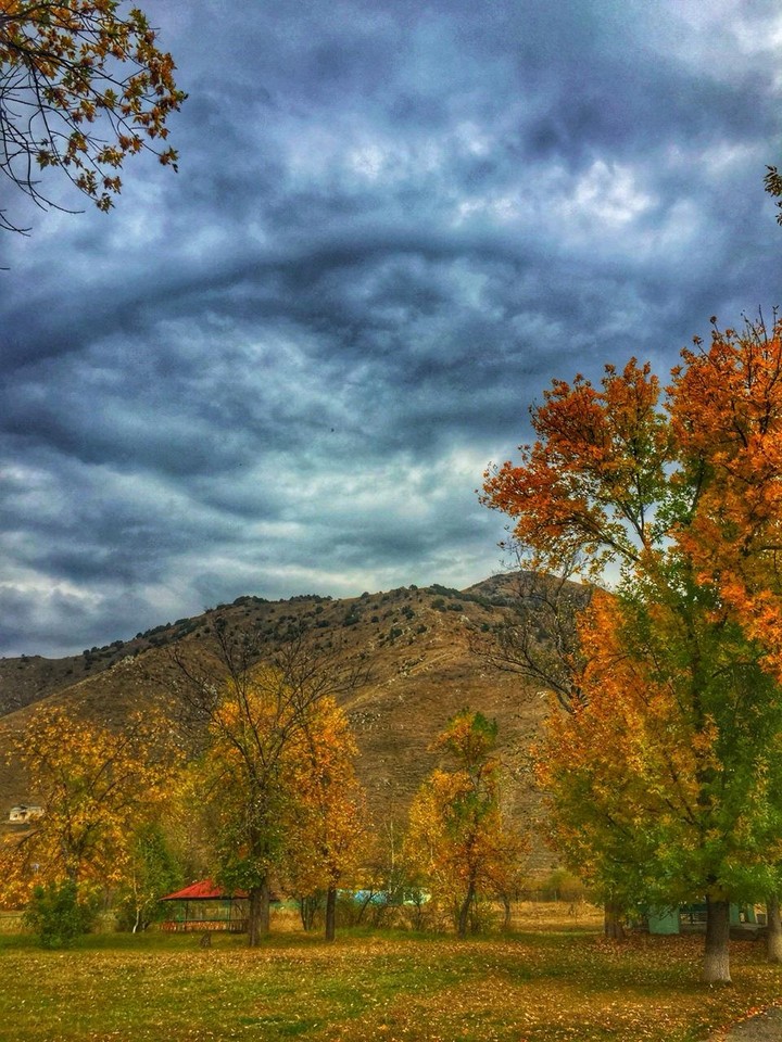 Autumn and the wind