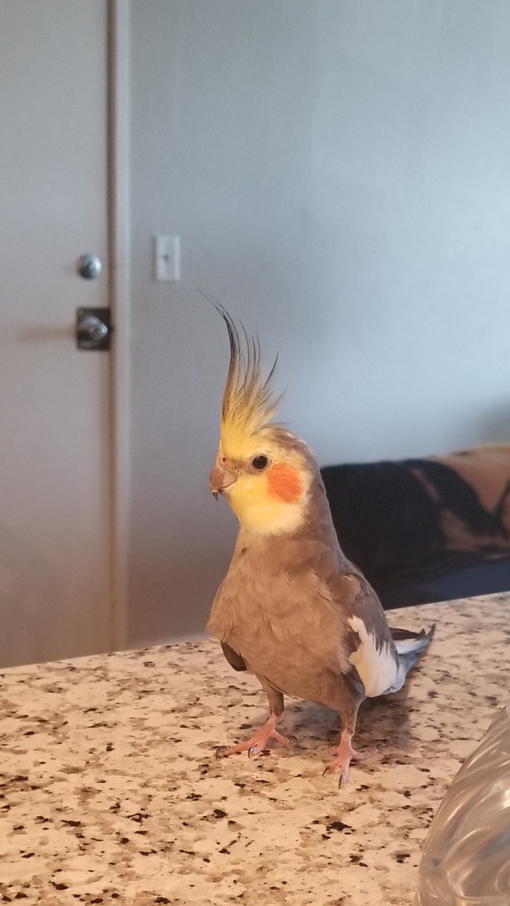 ♥️
