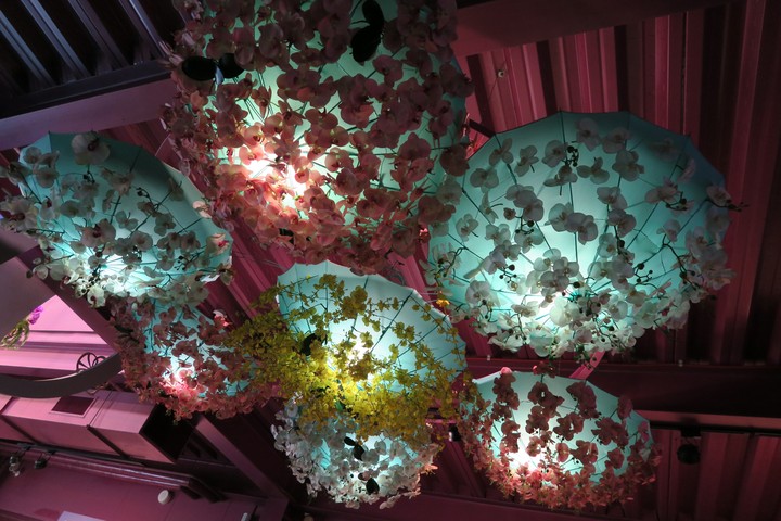 Orchid umbrella