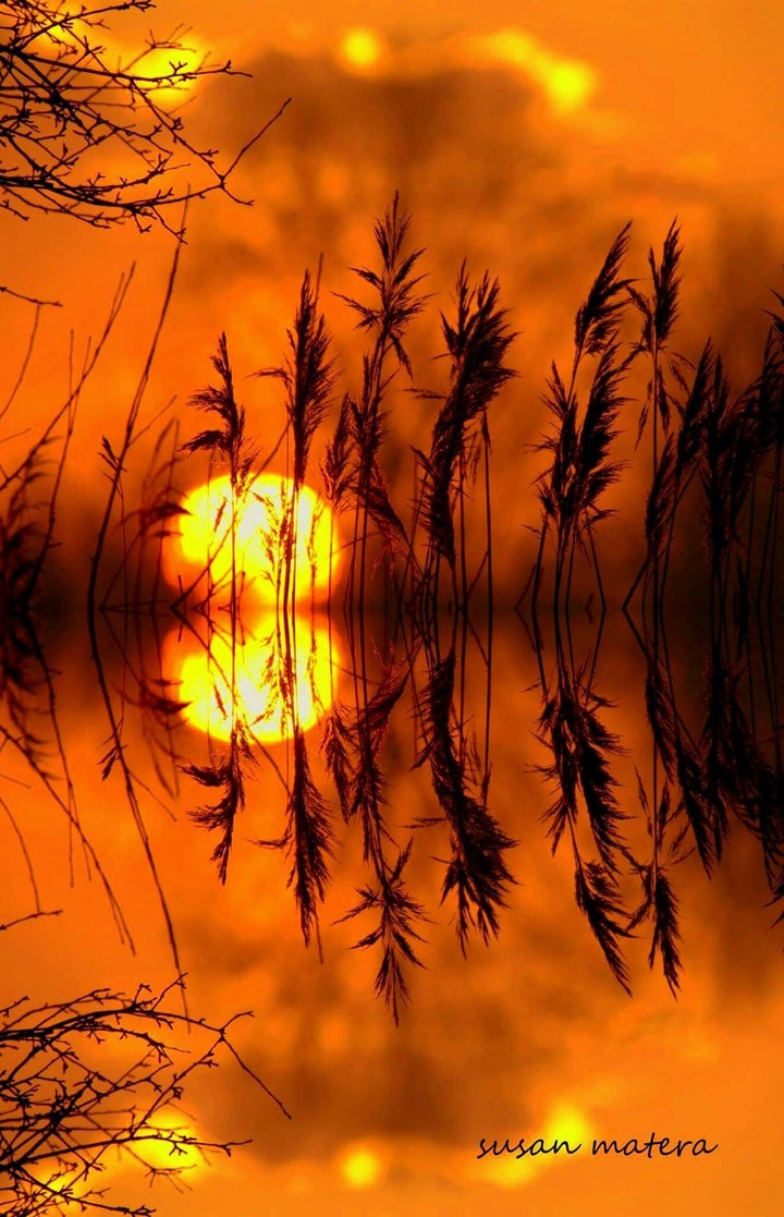 sunrise moments
