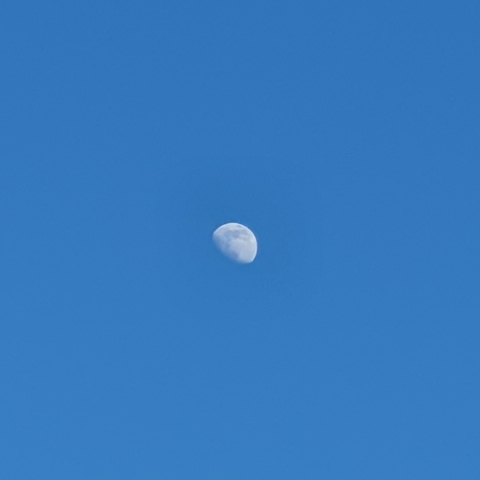The moon