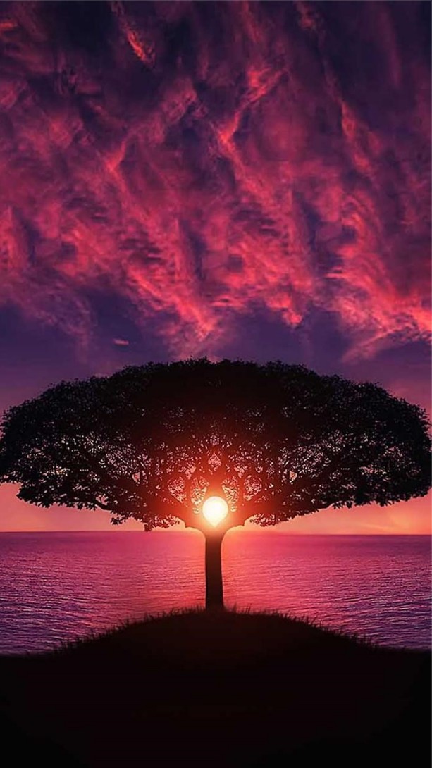 sunset