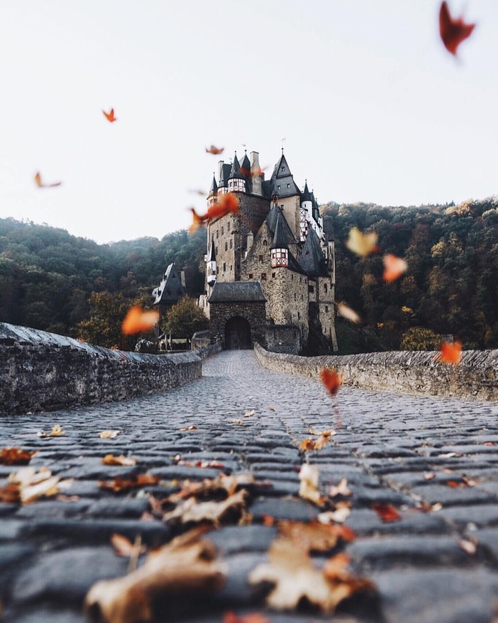 fall