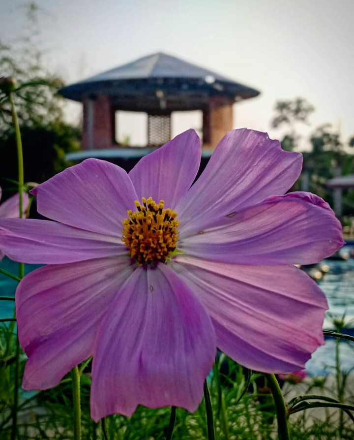 Mobile photography