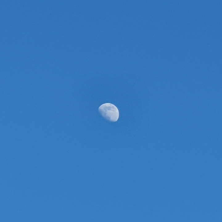The moon