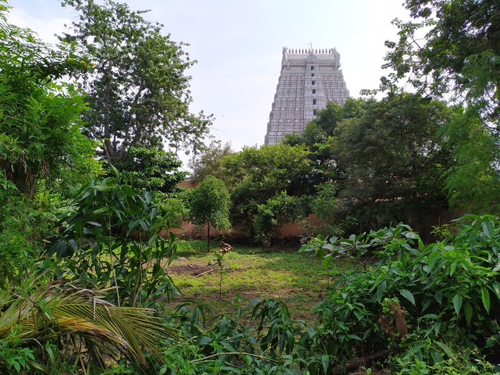 tropical Tiruvannamalai