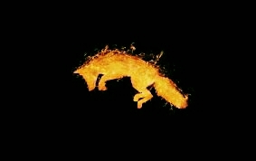 #fox