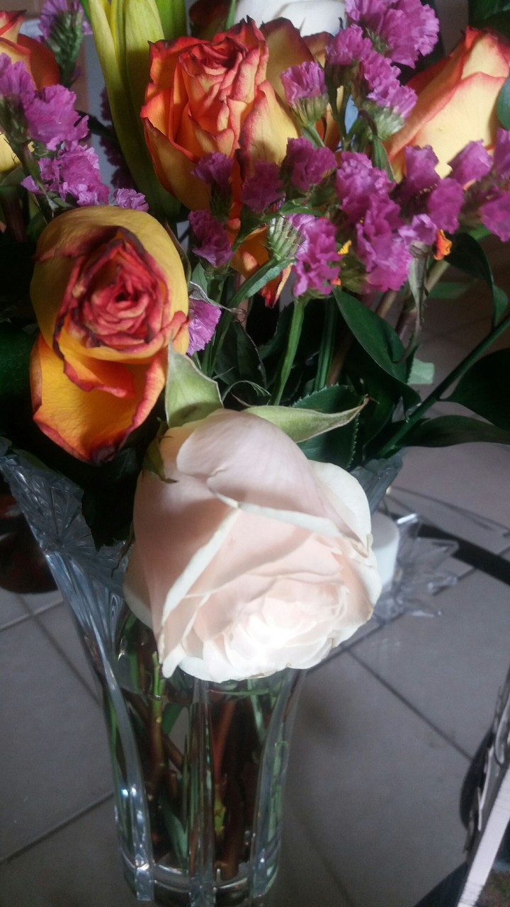 fresh flowers