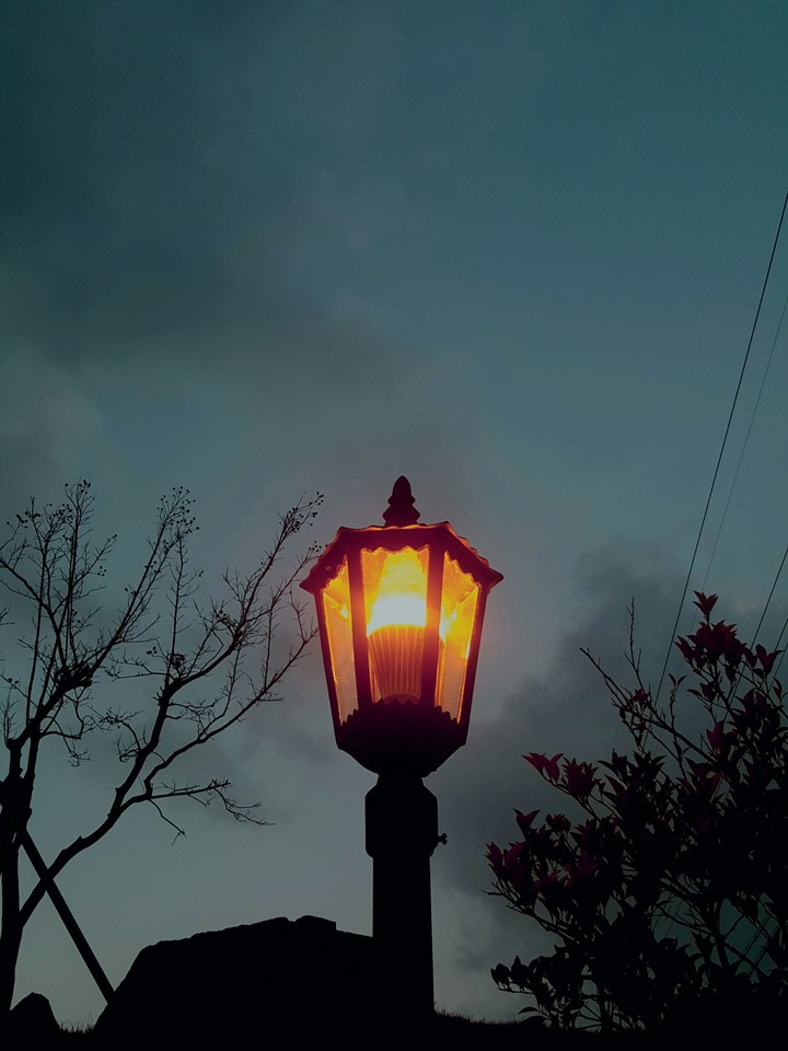 등