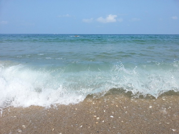 wave in summer