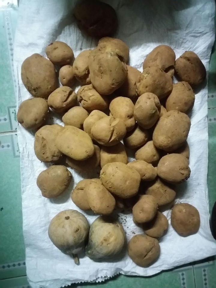 potato