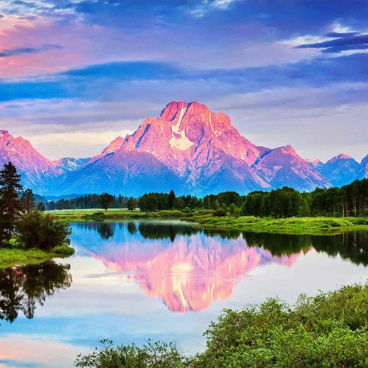 nature love