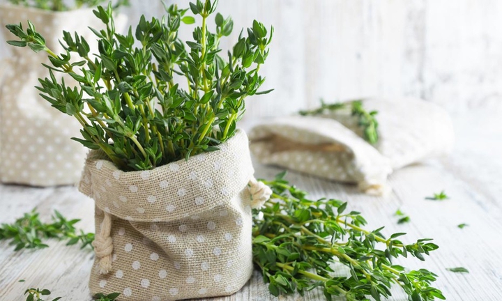 Thyme