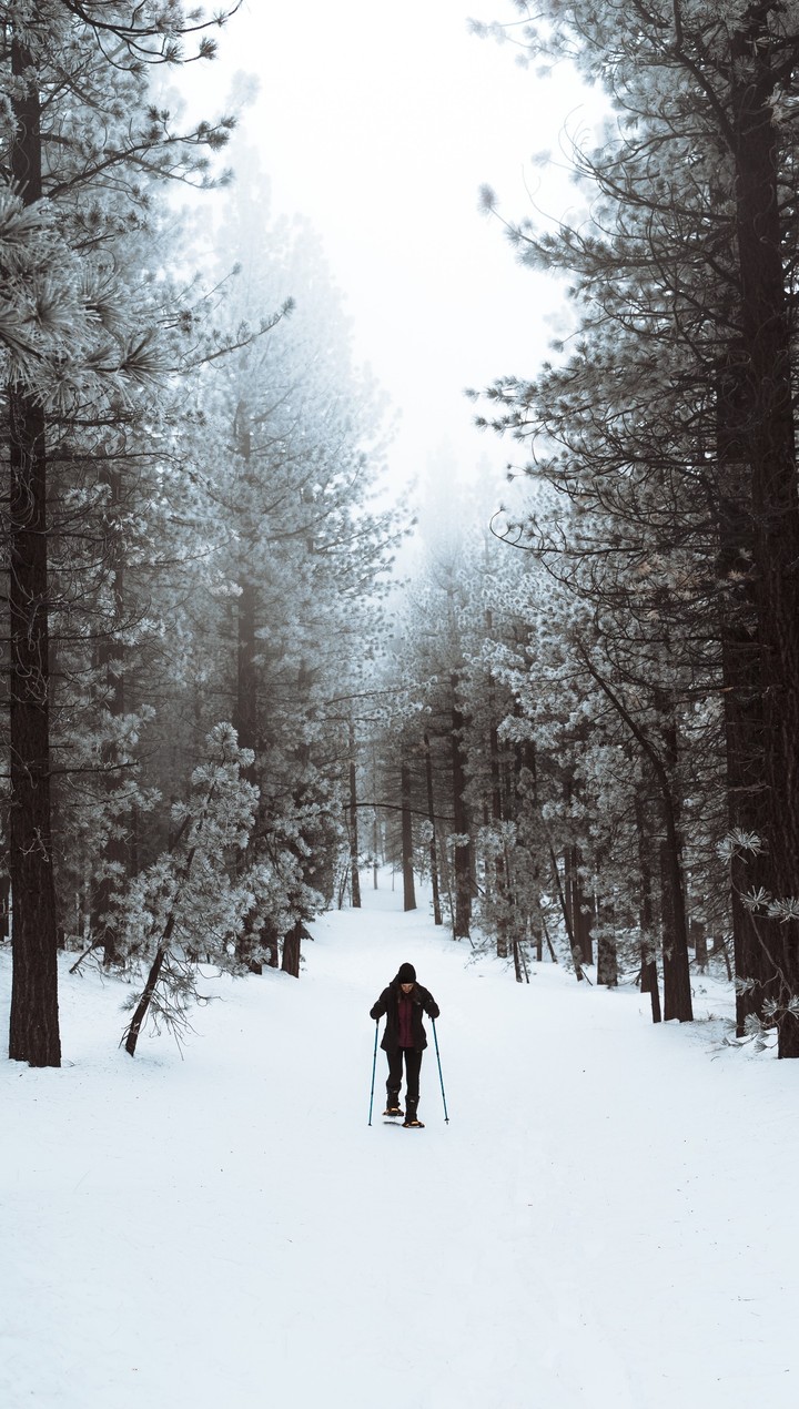 Skier