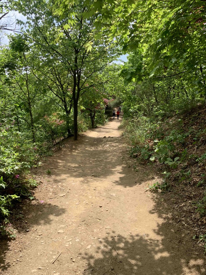 산길
