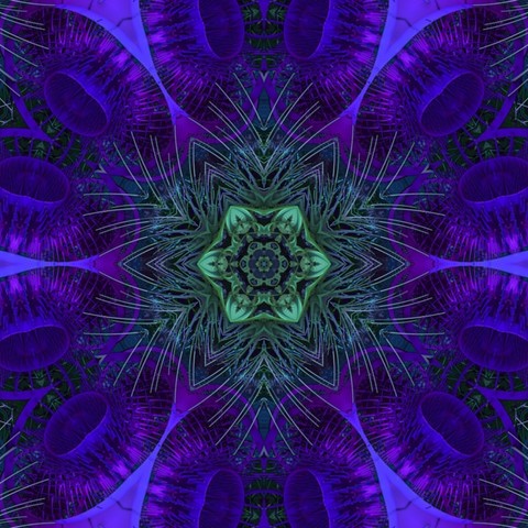 Mandala