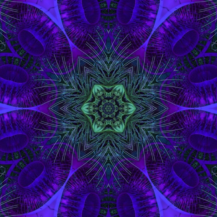 Mandala