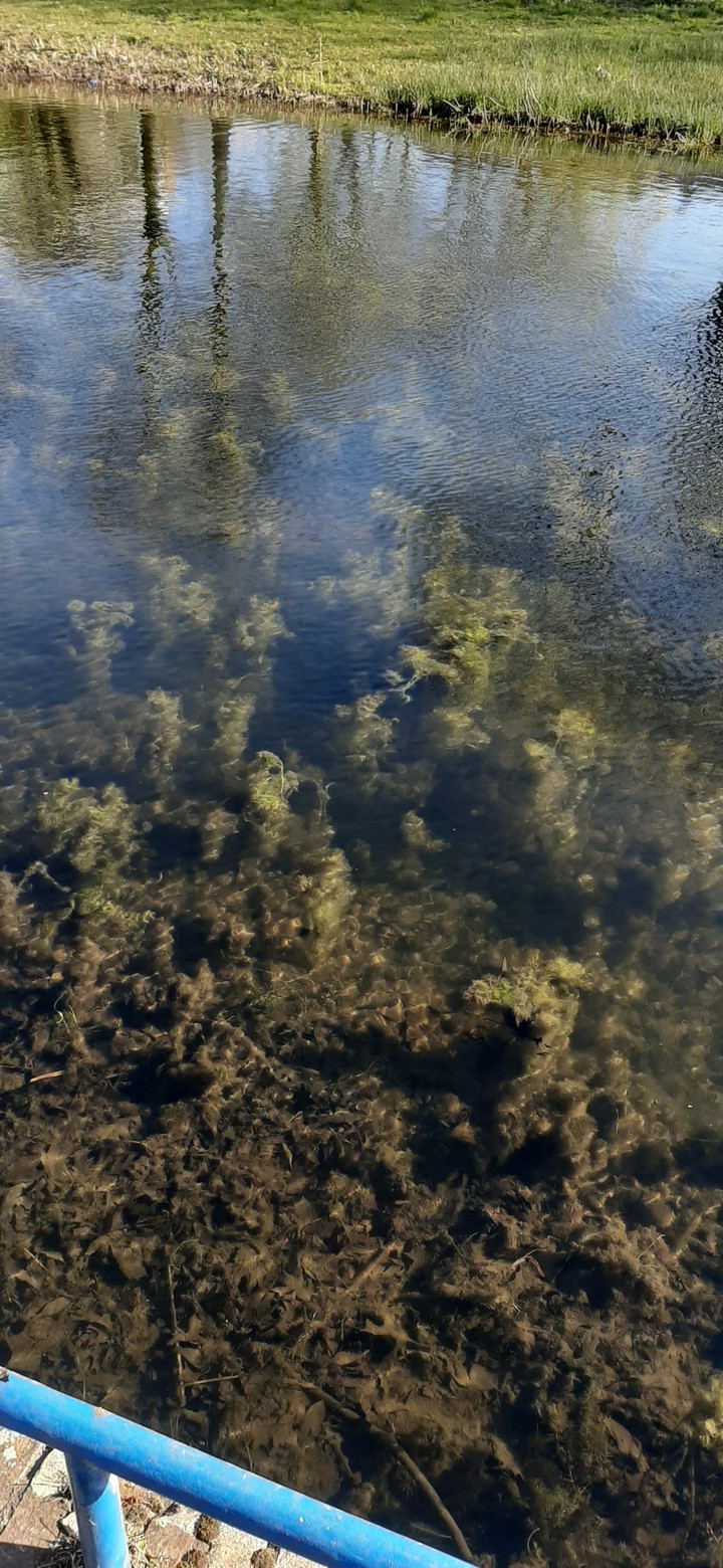 clear water