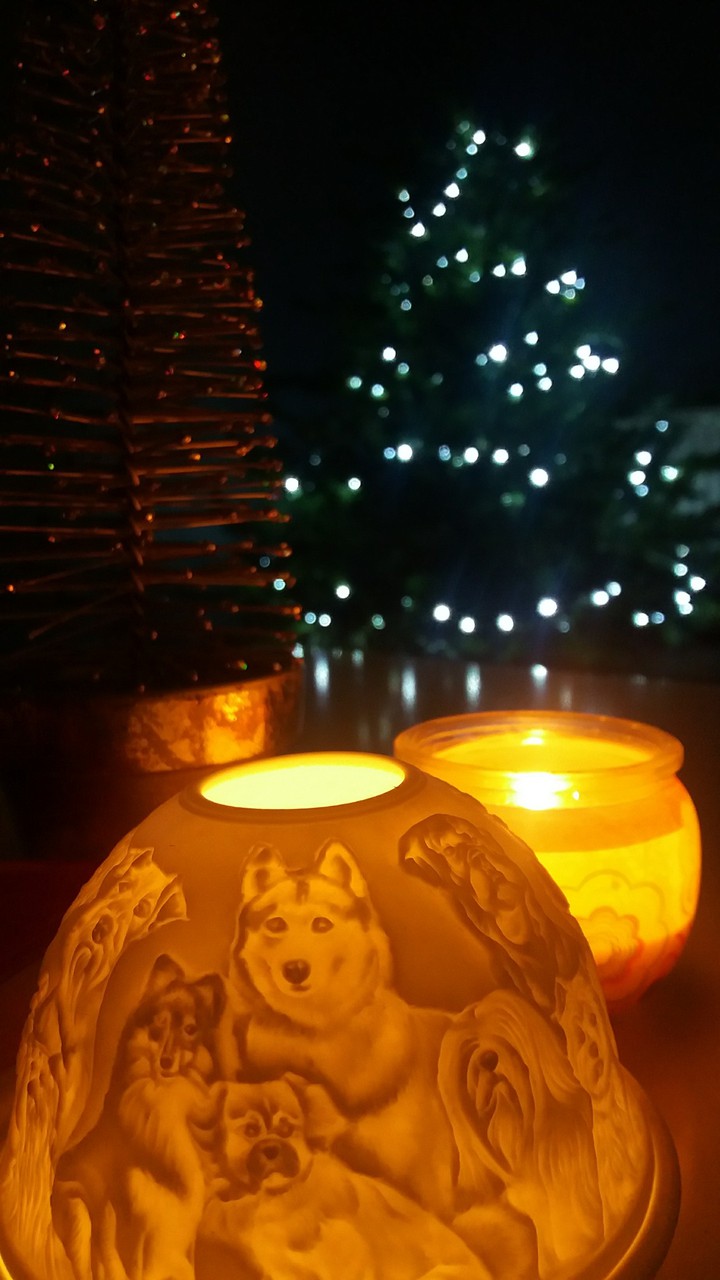 Christmas lights