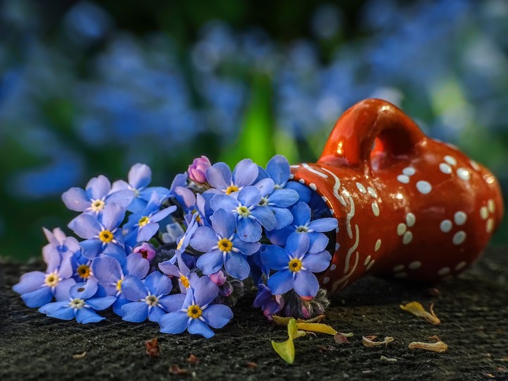 Flower Vase