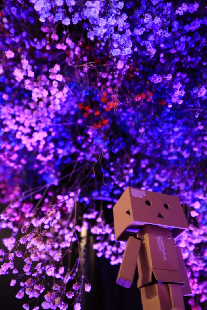 Taiwan-Taichung 花博