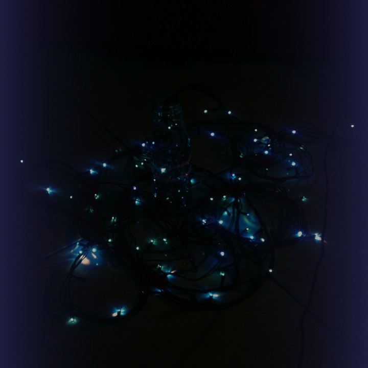 Bulbs
