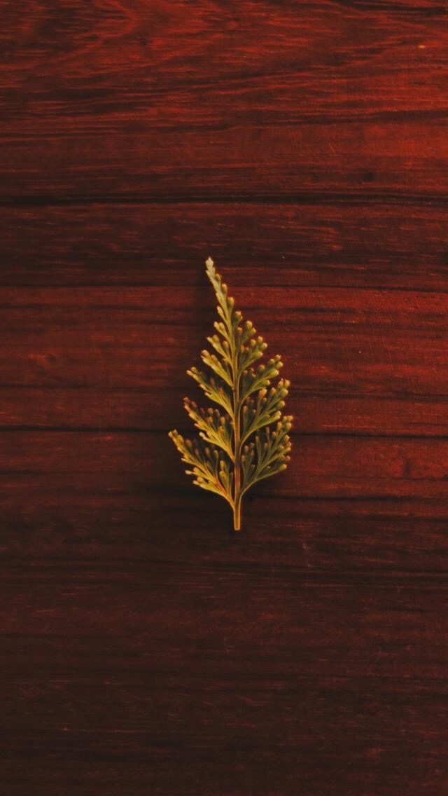 leaf